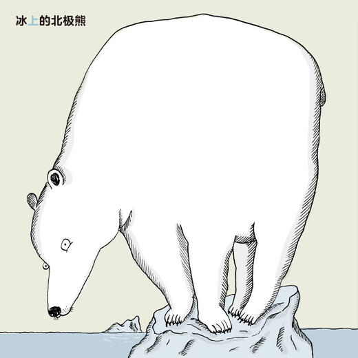 新书预售 动物的朋友圈 认知启蒙绘本全5册 1-3岁 趣味动物分类图鉴 动物的朋友圈 低幼版 商品图1