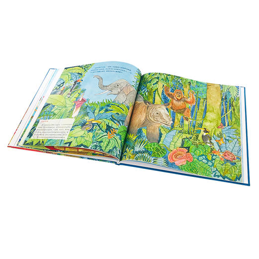 海上历险记 商品图5