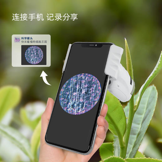 儿童便携式  mini台式“科学罐头”显微镜  微世界装进口袋  随时随地轻松探索 商品图5