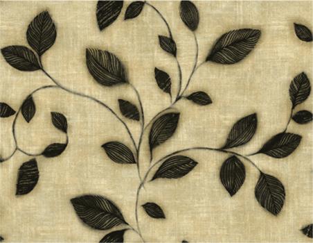 多规格赠品 商品图1