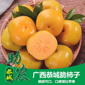 广西恭城脆柿子