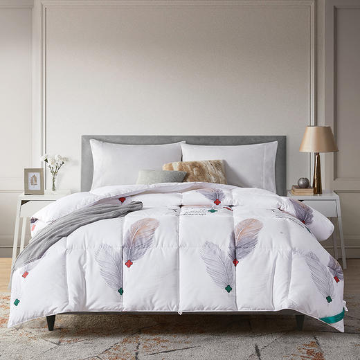 MXW-012 加厚时尚冬被 商品图0