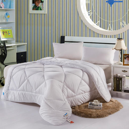 迪士尼 珠光浆被芯 春秋被芯 儿童被子 双人被 150x200cm 商品图0