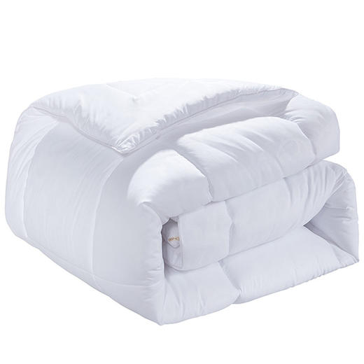 富安娜 秋絮磨毛暖冬被（203*229cm） 商品图3