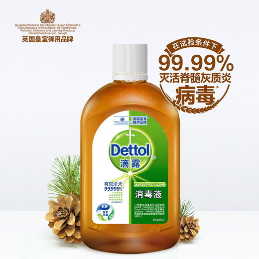 滴露消毒药水250ML 商品图0