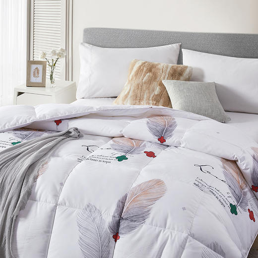 MXW-012 加厚时尚冬被 商品图1