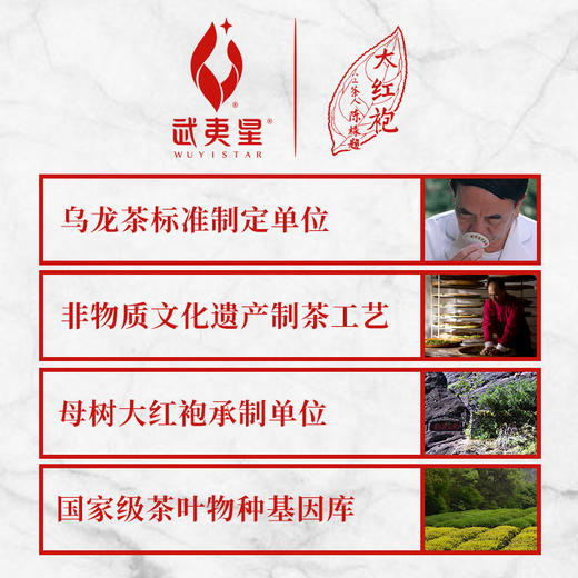 武夷星 山语 老枞水仙 武夷岩茶 礼盒 96g 商品图3