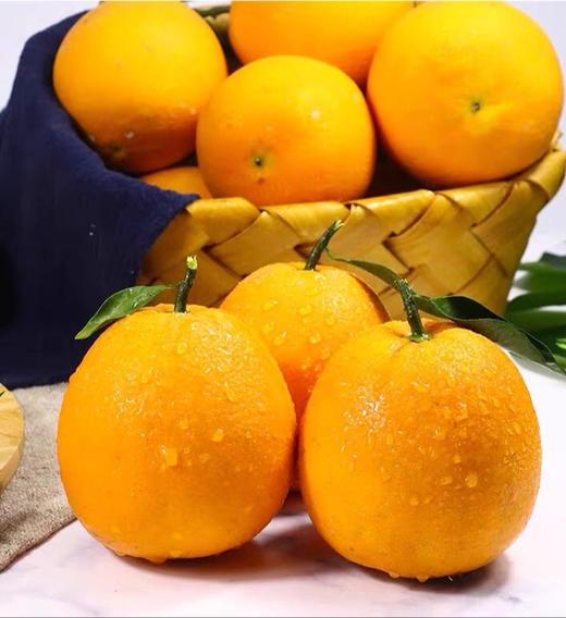 赣南挤橙3斤装 商品图5