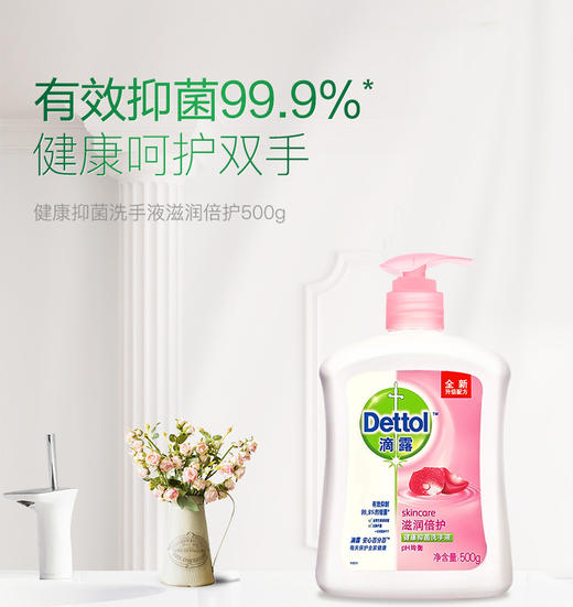 滴露呵护敏感肌肤洗手液500ML 商品图2