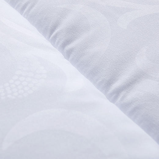 富安娜 秋絮磨毛暖冬被（203*229cm） 商品图1