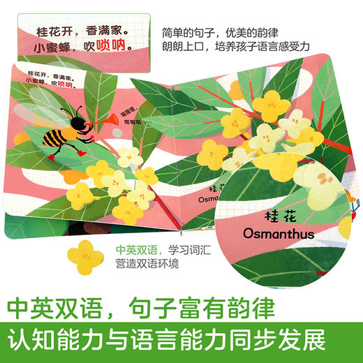 傲游猫-香喷喷的发声书（2册）-植物 原价56.8 商品图3