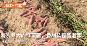  海沙养大的红蜜薯，香甜软糯流着蜜，暖心又暖胃~ 