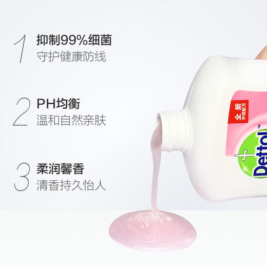 滴露呵护敏感肌肤洗手液500ML 商品图1