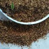 【弘毅六不用生态农场】六不用花椒面 花椒粉 100克/份 商品缩略图0