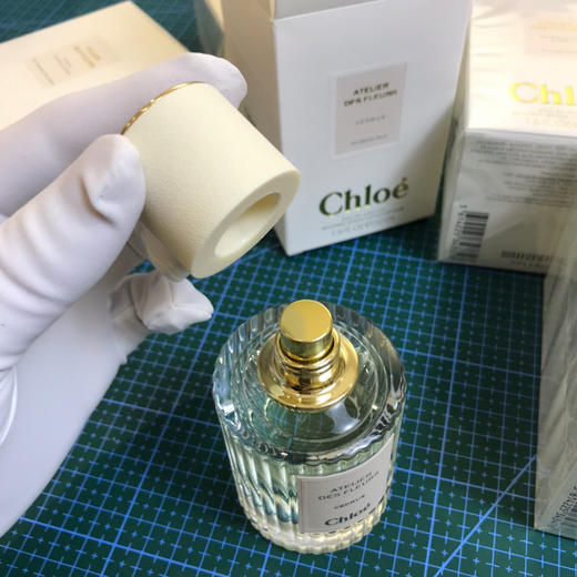 Chlo仙境系列-北国雪松 商品图6