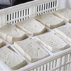 大豆腐一斤 商品缩略图1