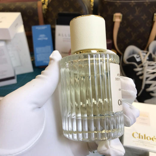 Chlo仙境系列-北国雪松 商品图1