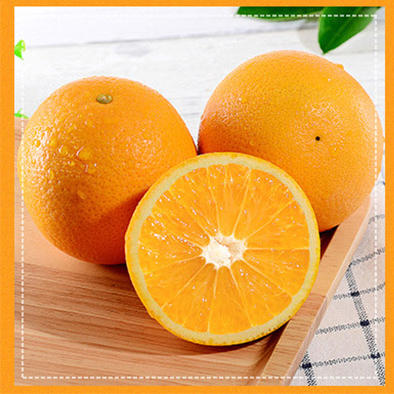 【福建省内包邮】古田脐橙5斤装 商品图0