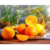 【福建省内包邮】古田脐橙5斤装 商品缩略图1