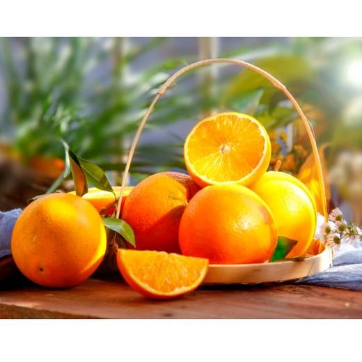 【福建省内包邮】古田脐橙5斤装 商品图1