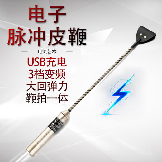 roomfun房趣电击情趣产品电子脉冲皮鞭散鞭拍S M情趣用品调教女王 商品图0