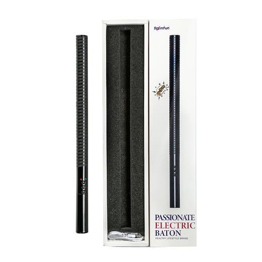 美国roomfun房趣电击情趣产品电子脉冲棒拍S M情趣用品 商品图4
