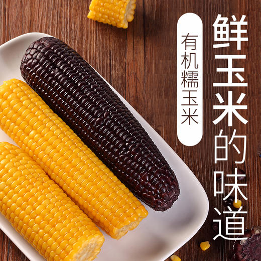 新疆三工滩有机富晒糯玉米10根装 商品图2
