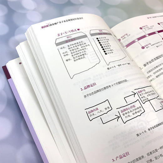 商业地产高人气业态运营手册 儿童教育零售童服务娱乐商业亲子业态产业分析与运营书籍 营销模式商业地产亲子业态规划定位及设计 商品图3