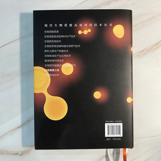 现代生物质能高效利用技术丛书-纤维素酶工程 商品图3