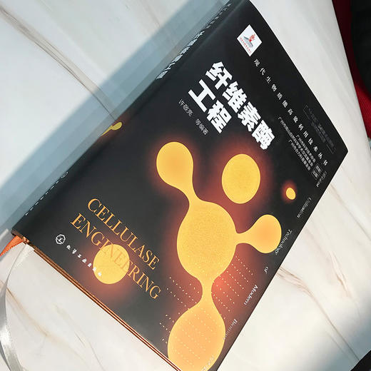 现代生物质能高效利用技术丛书-纤维素酶工程 商品图2