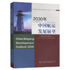 2030年中国航运发展展望 商品缩略图0
