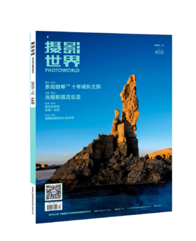摄影世界2020年第12期