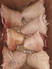 五肉联会员店  后平肘10kg/箱 商品缩略图1