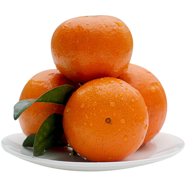 广西武鸣沃柑5斤大果新鲜当季水果现摘现发柑橘桔子亚布力当季生鲜