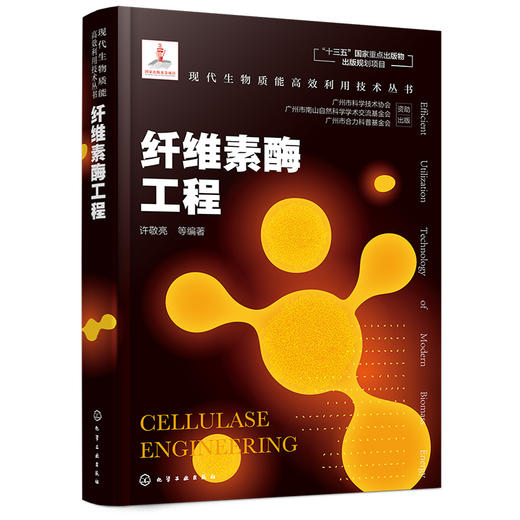 现代生物质能高效利用技术丛书-纤维素酶工程 商品图0