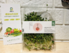 芽苗菜（自产） 商品缩略图0