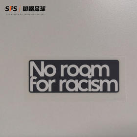 SFS 20-21赛季英超反种族歧视章