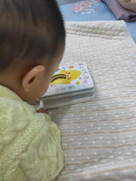 《小鸡球球触感玩具书》：很多玩具都没有这套触摸书受欢迎