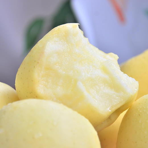 山东黄金奶油富士苹果