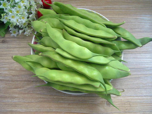 有机油豆角 商品图0