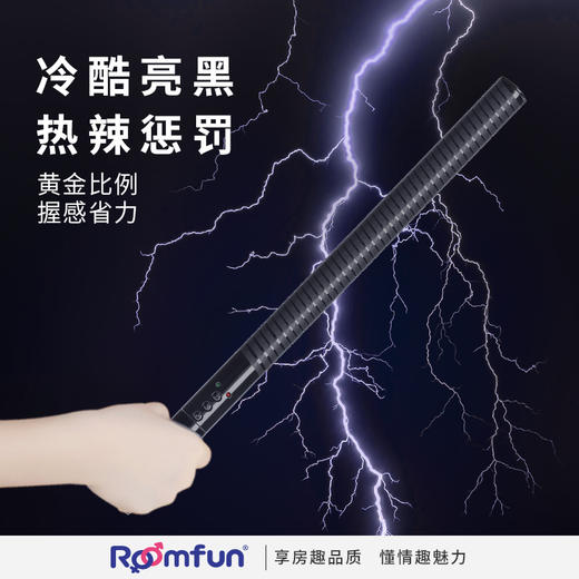 美国roomfun房趣电击情趣产品电子脉冲棒拍S M情趣用品 商品图0