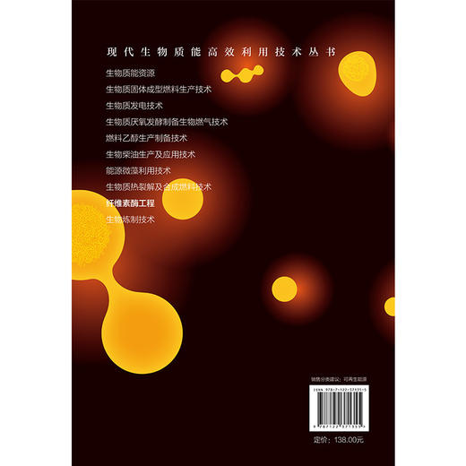 现代生物质能高效利用技术丛书-纤维素酶工程 商品图5