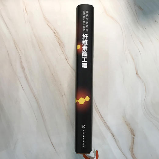 现代生物质能高效利用技术丛书-纤维素酶工程 商品图4
