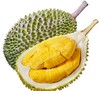 马来西亚空运液氮猫山王榴莲一只约4斤（按实际称重多退少补） 商品缩略图0