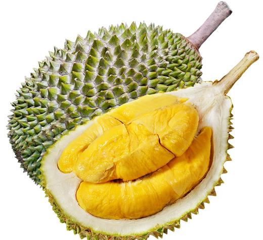 马来西亚空运液氮猫山王榴莲一只约4斤（按实际称重多退少补） 商品图0