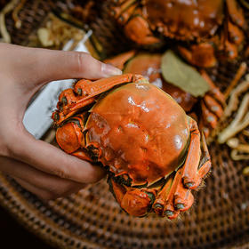 秘之醉花雕熟醉蟹全母蟹5只