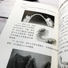 齿健身安 徐定南 口腔疾病护理书籍 口腔健康常识 牙痛口腔溃疡牙病防治书正确刷牙方法牙膏牙刷牙线牙签选购指南洗牙拔牙注意事项 商品缩略图4