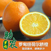 贵州黔南罗甸纽荷尔高山脐橙 商品缩略图0
