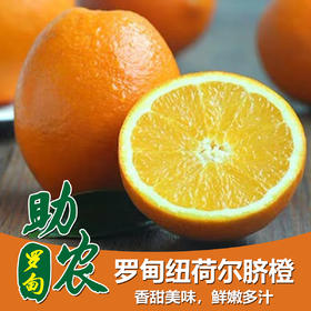 贵州黔南罗甸纽荷尔高山脐橙