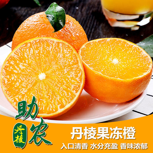 四川眉山丹棱果冻橙10斤 商品图0